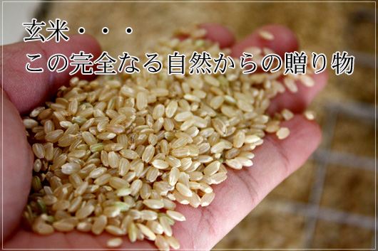 有機無農薬玄米の米餅